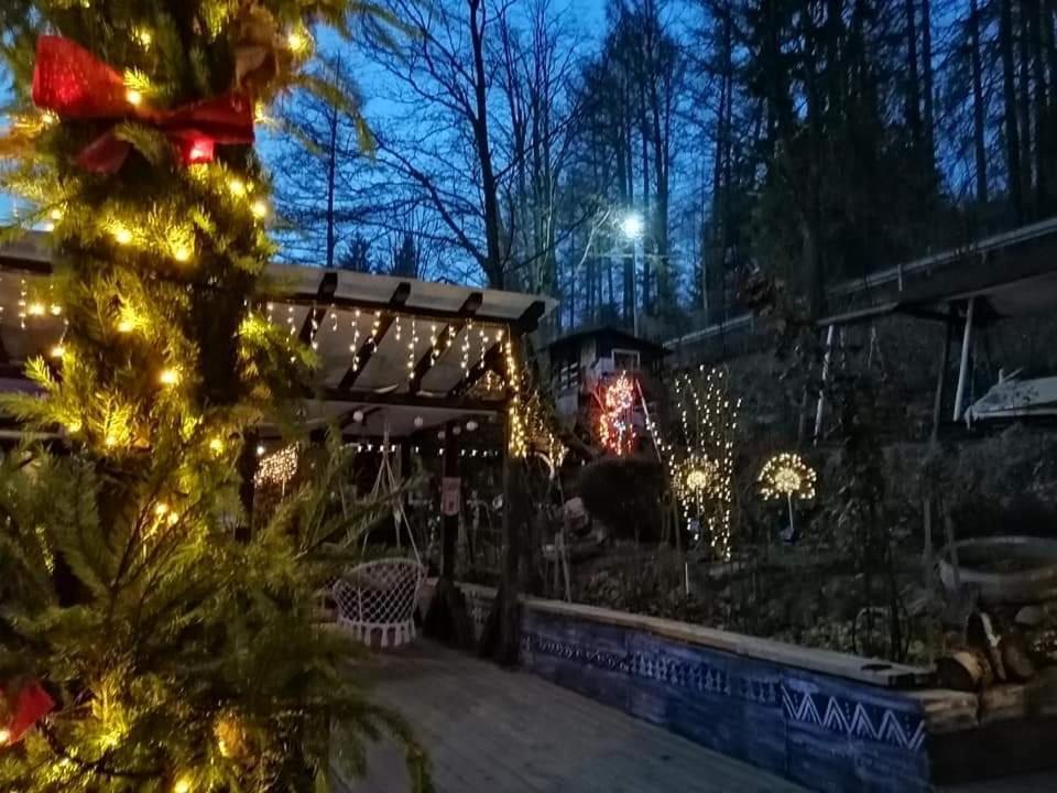 Вилла Apartament Sarco Ватра-Дорней Экстерьер фото