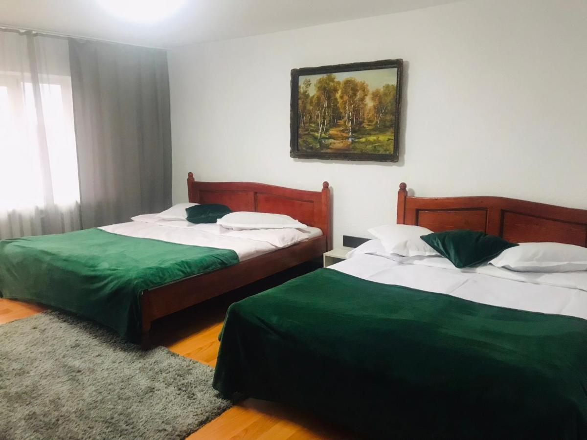 Вилла Apartament Sarco Ватра-Дорней Экстерьер фото