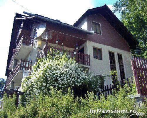 Вилла Apartament Sarco Ватра-Дорней Экстерьер фото